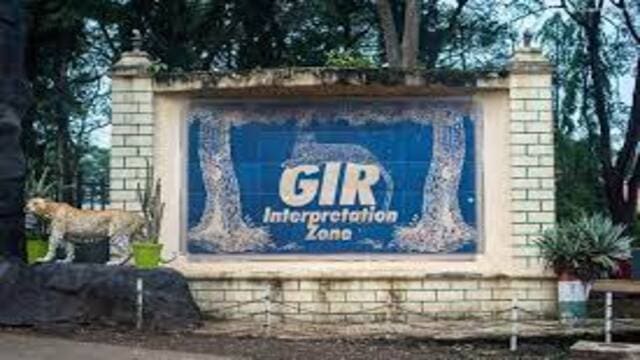 gir-interpretation-zone